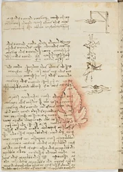 Code de vol des oiseaux, c. 1505-06, manuscrit sur papier, cc. 18, feuille 15 verso